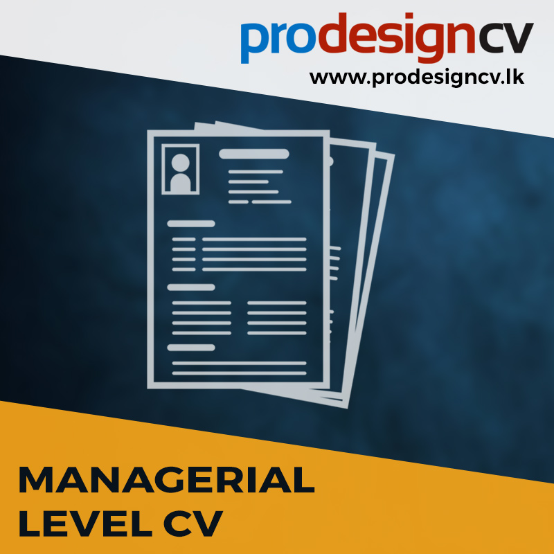 managerial level cv format