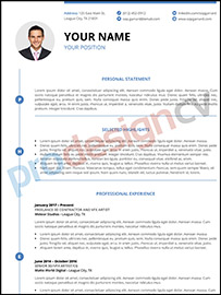 Executive CV Format, professional cv format