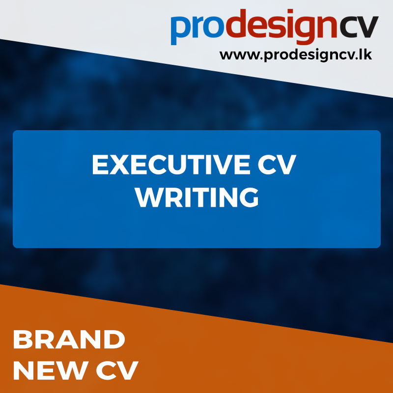 Executive CV Writing