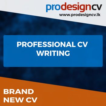 Professional-CV-Writing
